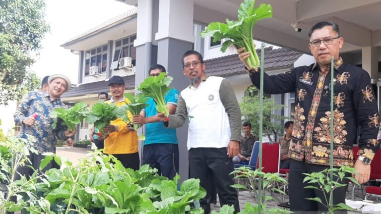 Peluncuran