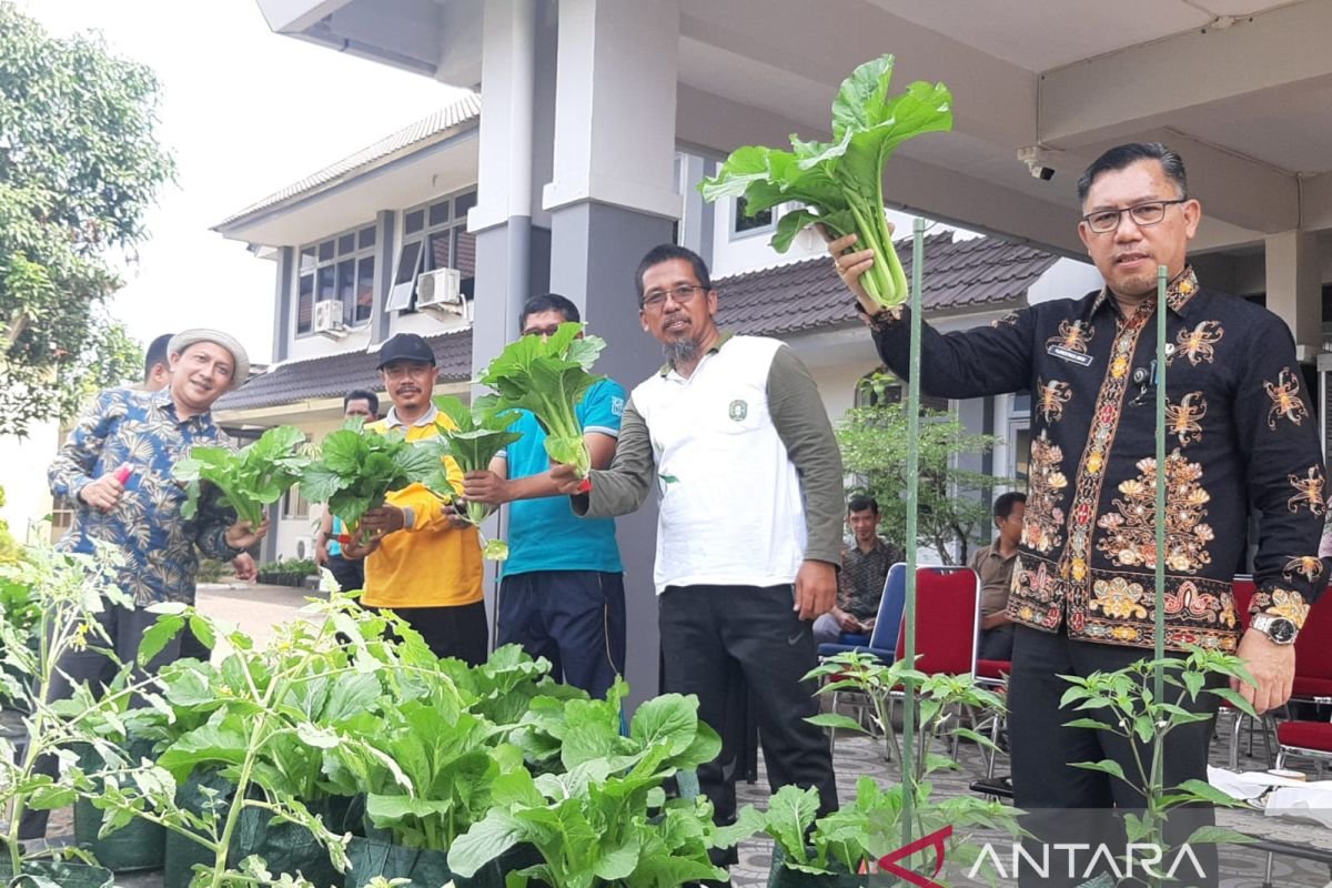 Peluncuran